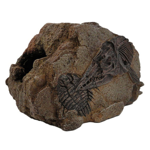 Betta Medium Fossil Rock ornament
