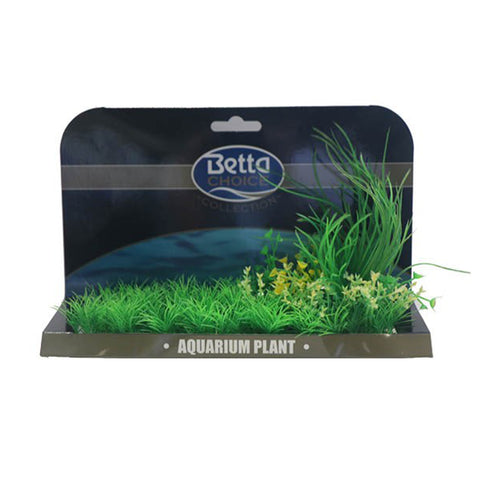 Betta Choice XL Plant Green Lilaeopsis PP392