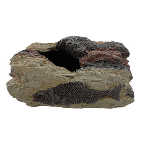 Betta Large Fossil Rock ornament