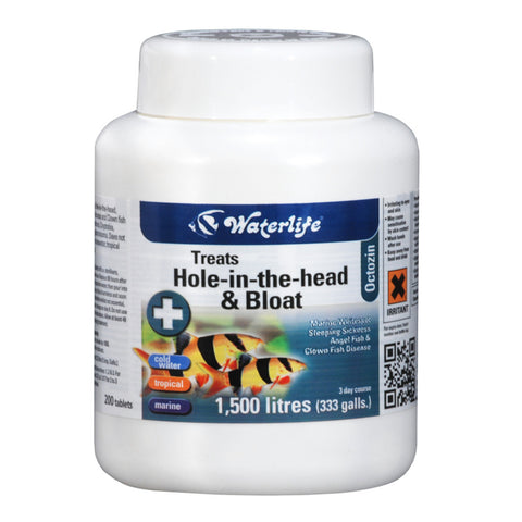 Waterlife Hole-in-the-head & Bloat 200 Tablets